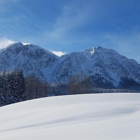 'Dasbergblick' Altaussee Bagian luar foto