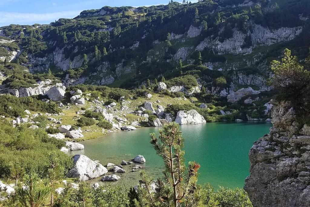 'Dasbergblick' Altaussee Bagian luar foto