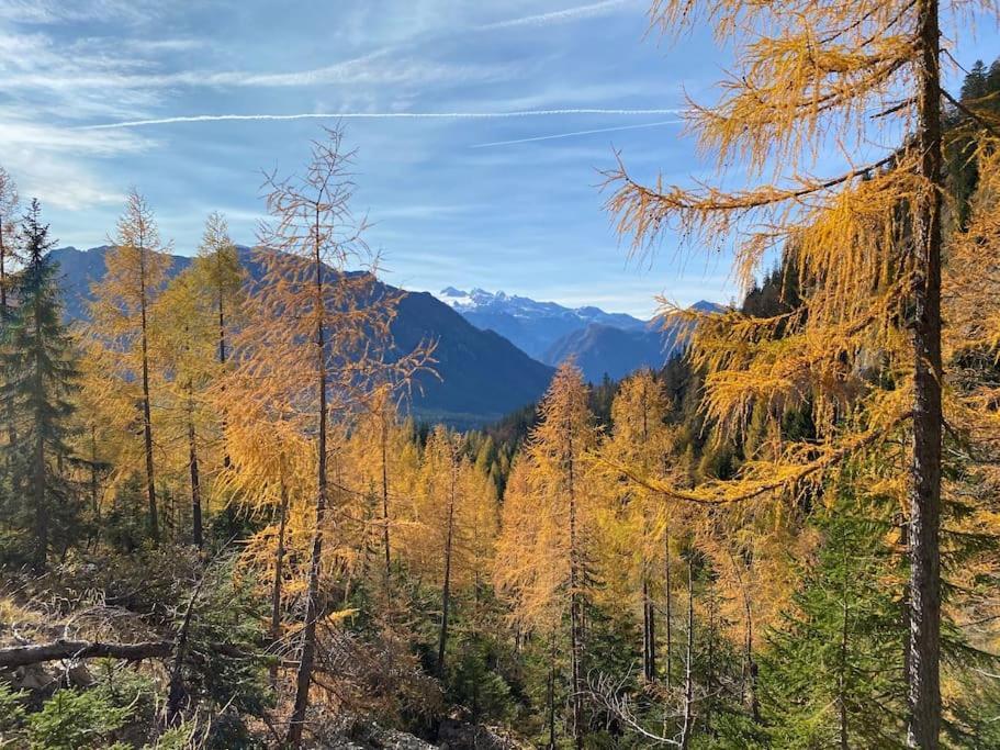 'Dasbergblick' Altaussee Bagian luar foto